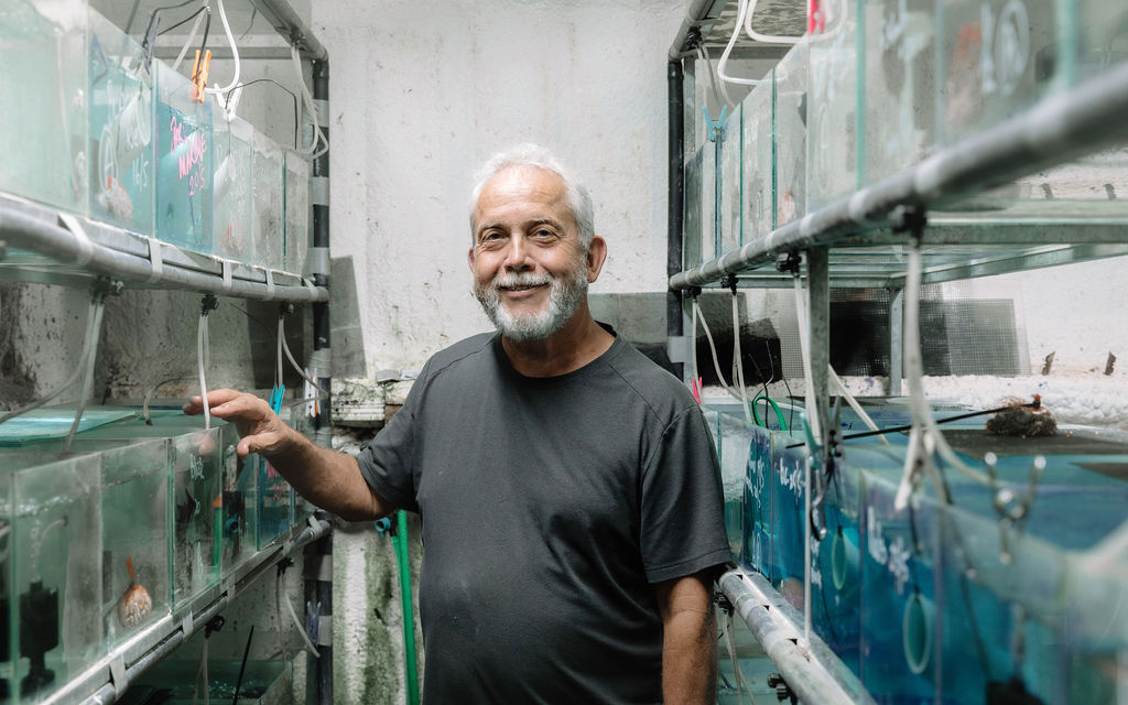 Trevor with some breeding tanks for Australian tropical fish