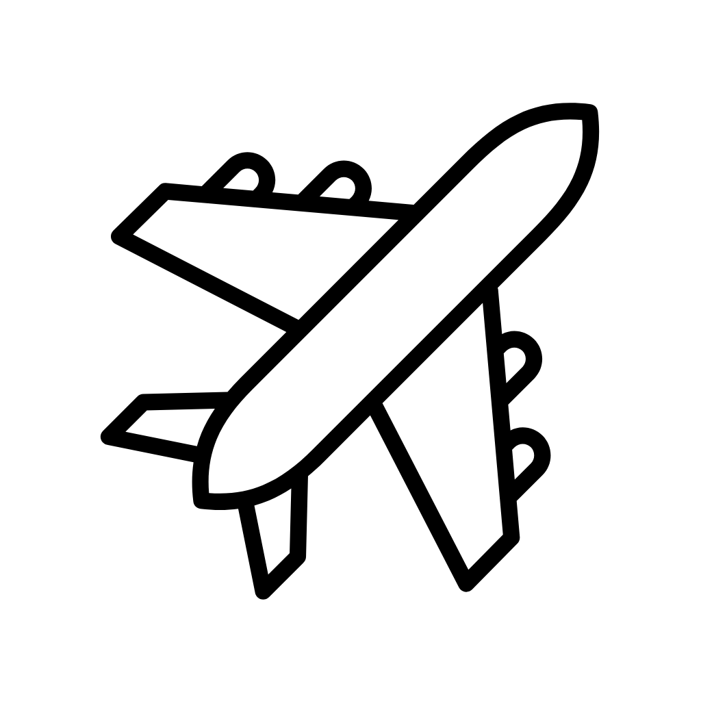 Air Freight Icon