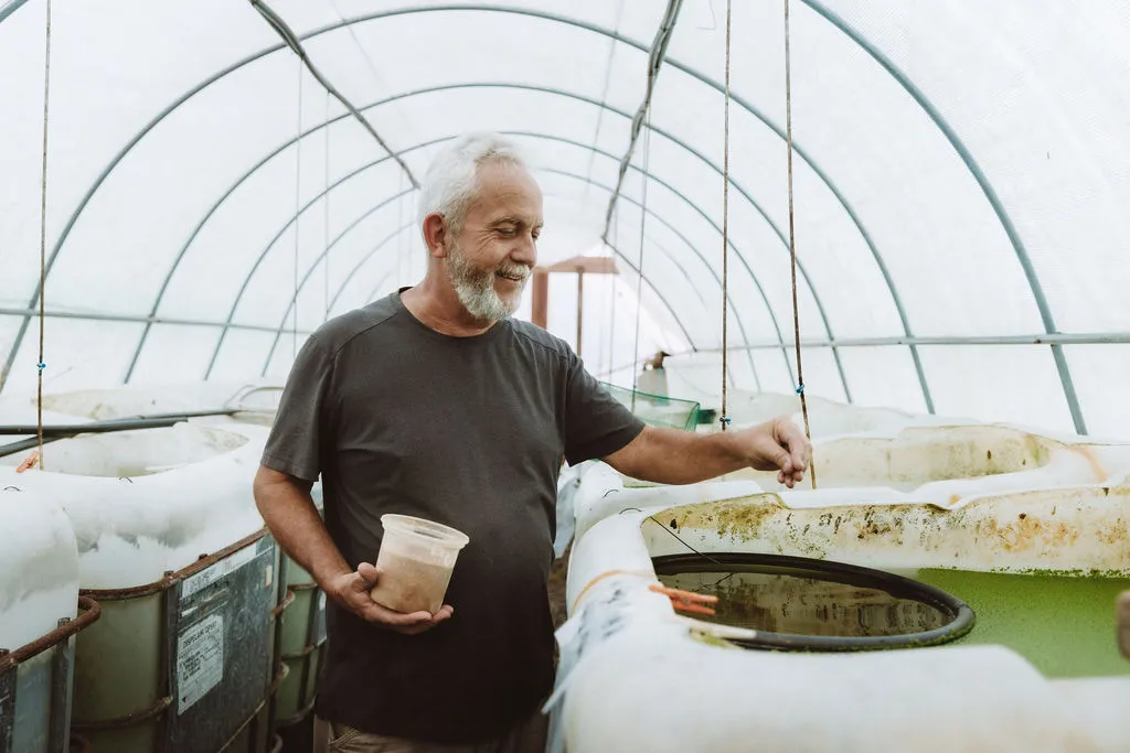 0M5A5893 Owner Trevor feeding fish in large breeding tanks