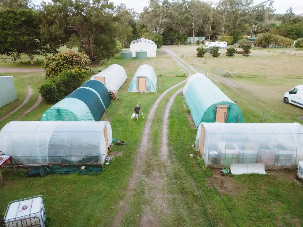 DJI_0021 Drone shot of some fish breeding tents for wholesale tropical fish farm